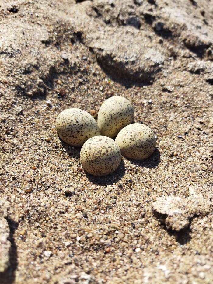 ���������� ��� ���? ���� ����� ��?!