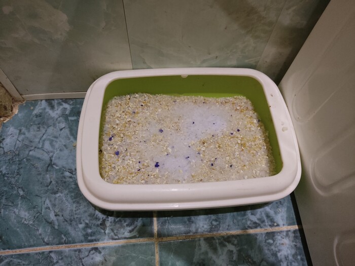 ���� ?��� ��� ������ ������