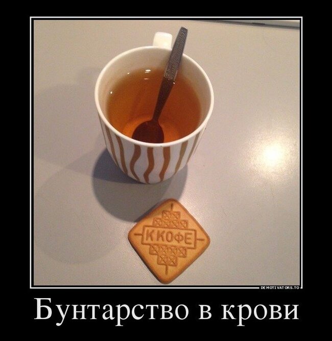 Тоже бунтарь | Пикабу