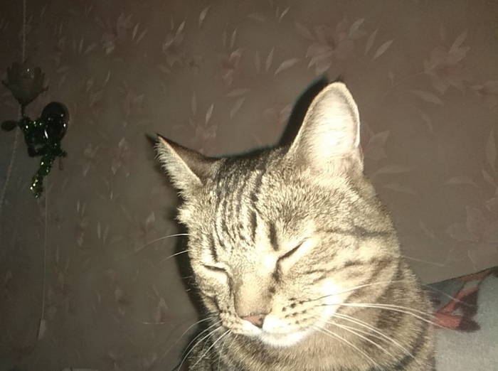  , 