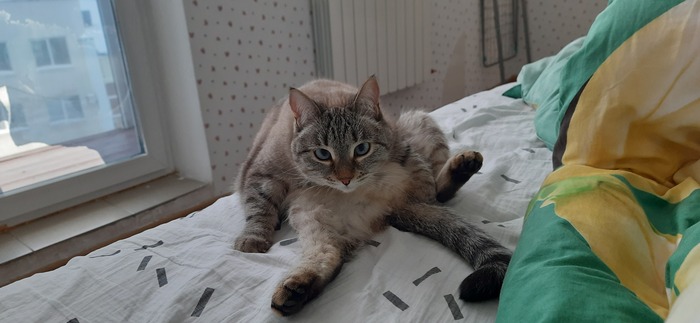 �� ���� ����???