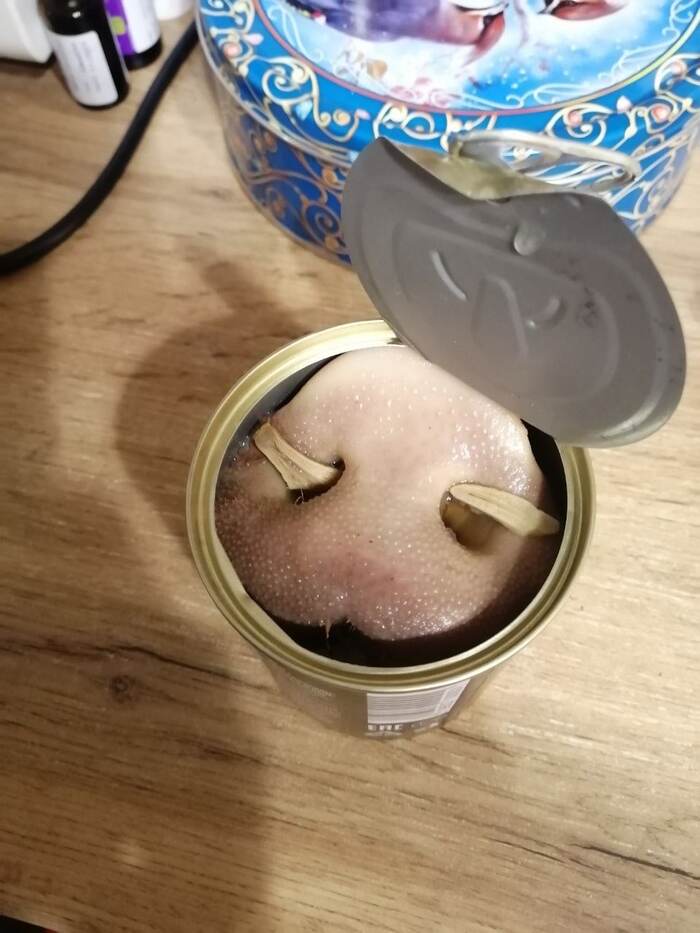 - , , 
