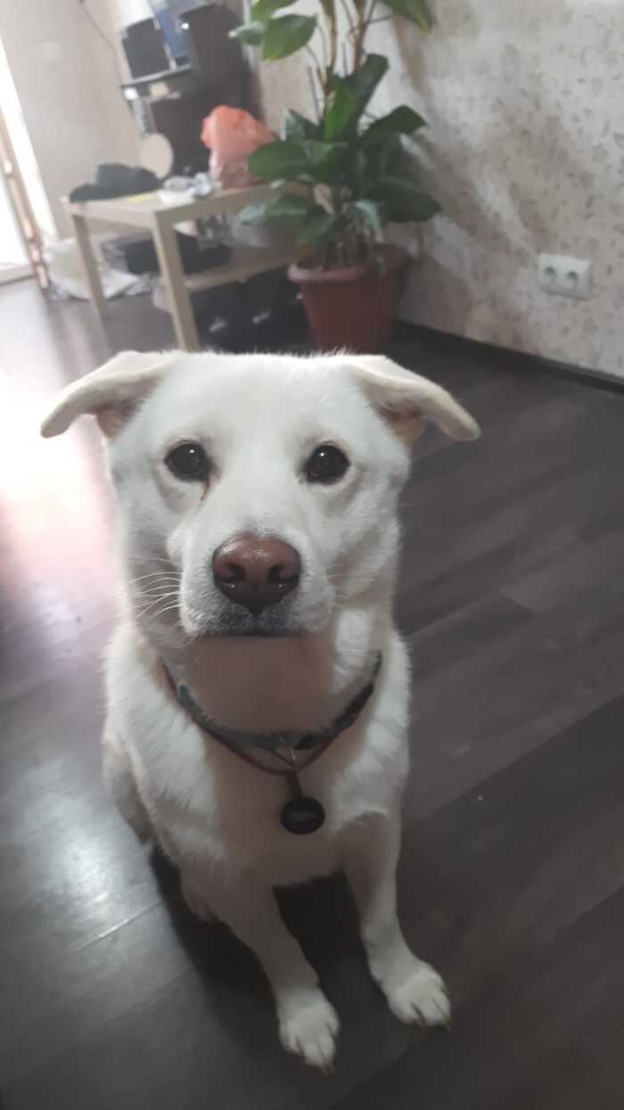 ����! ������� �������:)