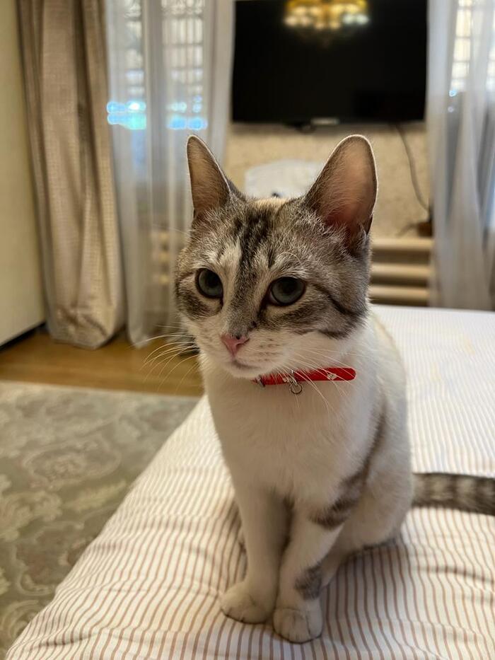 ����� ��������� ������, ����!