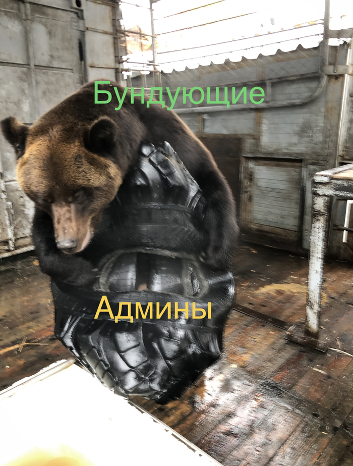 ������� �����