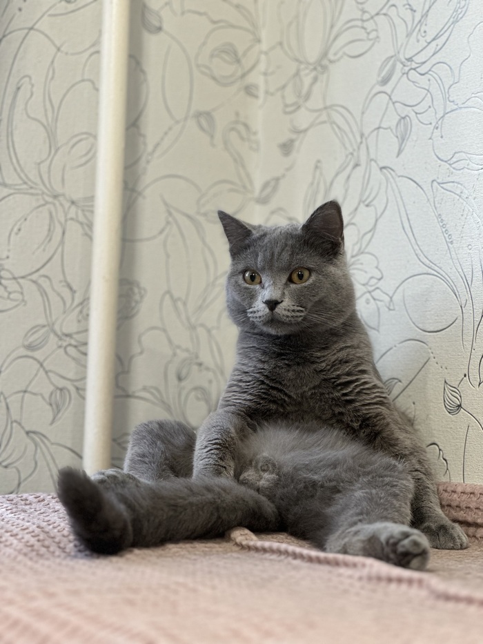 �� ���� ��������� � �����