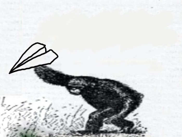 ,   , , 