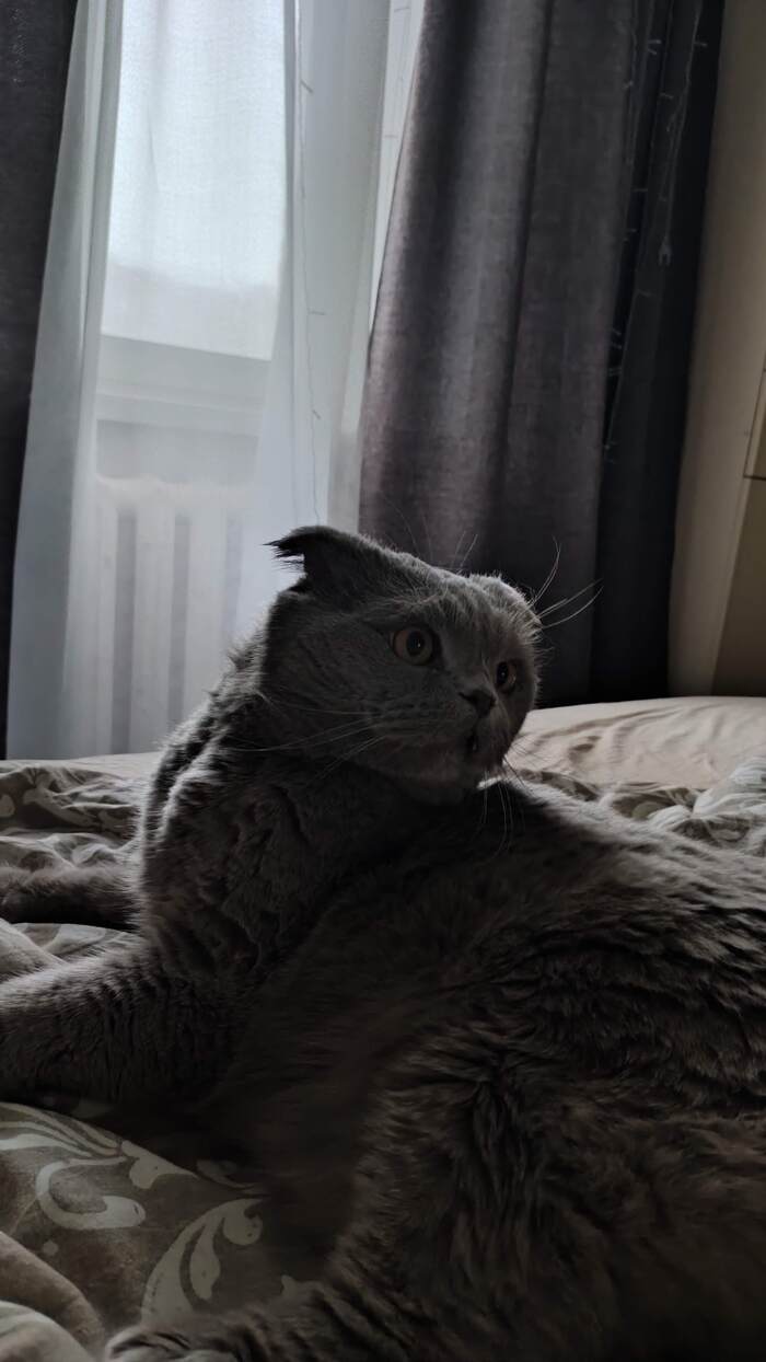 ����� �������, ��� ���� ������ �������� ������!