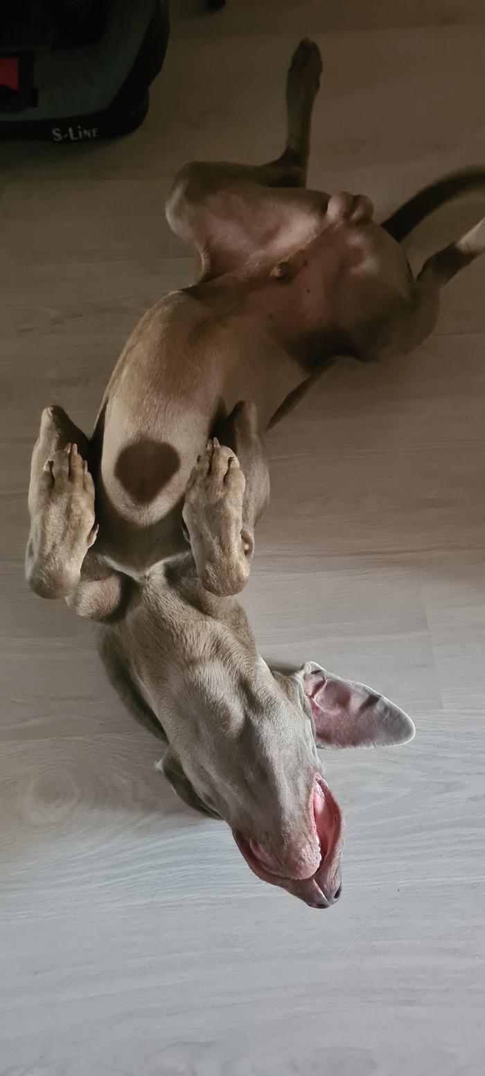     , , , , 