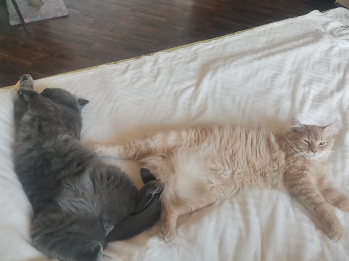 ����� ����� ����?