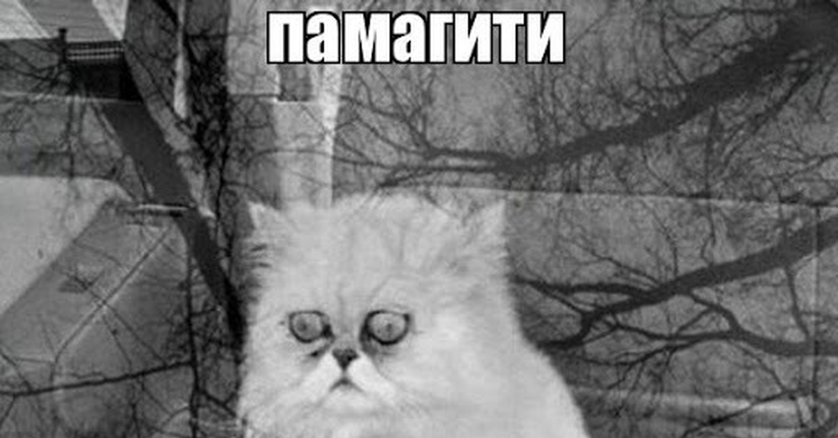 Покупка первого авто