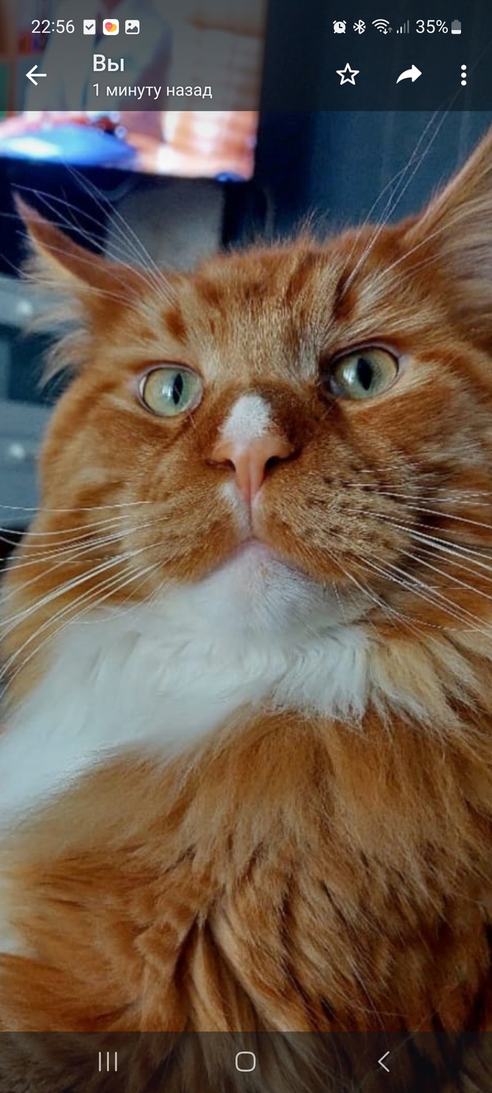 �� �������