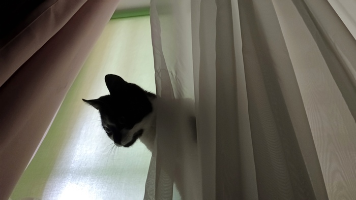 ��� �������, ��� � ������