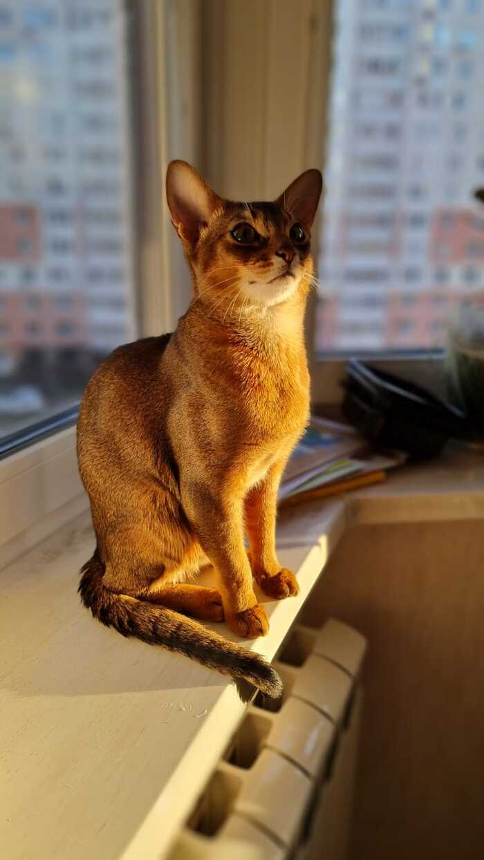 ������ ��� � �����!