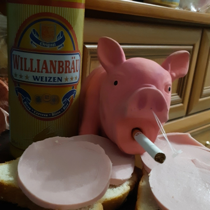 ������ ������