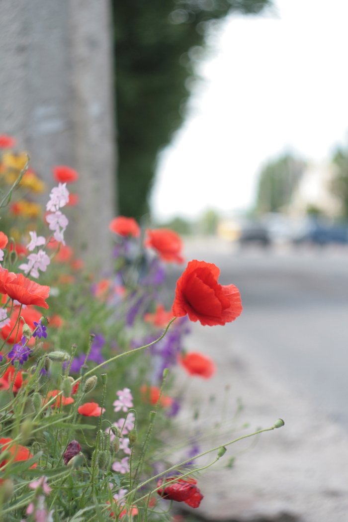 ���� ��� ����