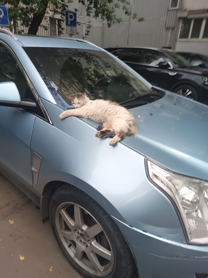 ���� ����� � �� ���