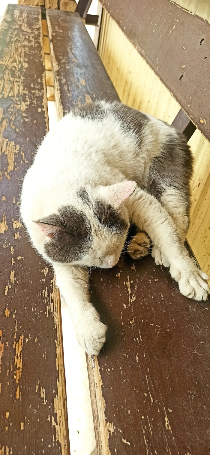      , , , , ,   ,  