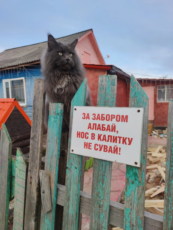    , , , -, 