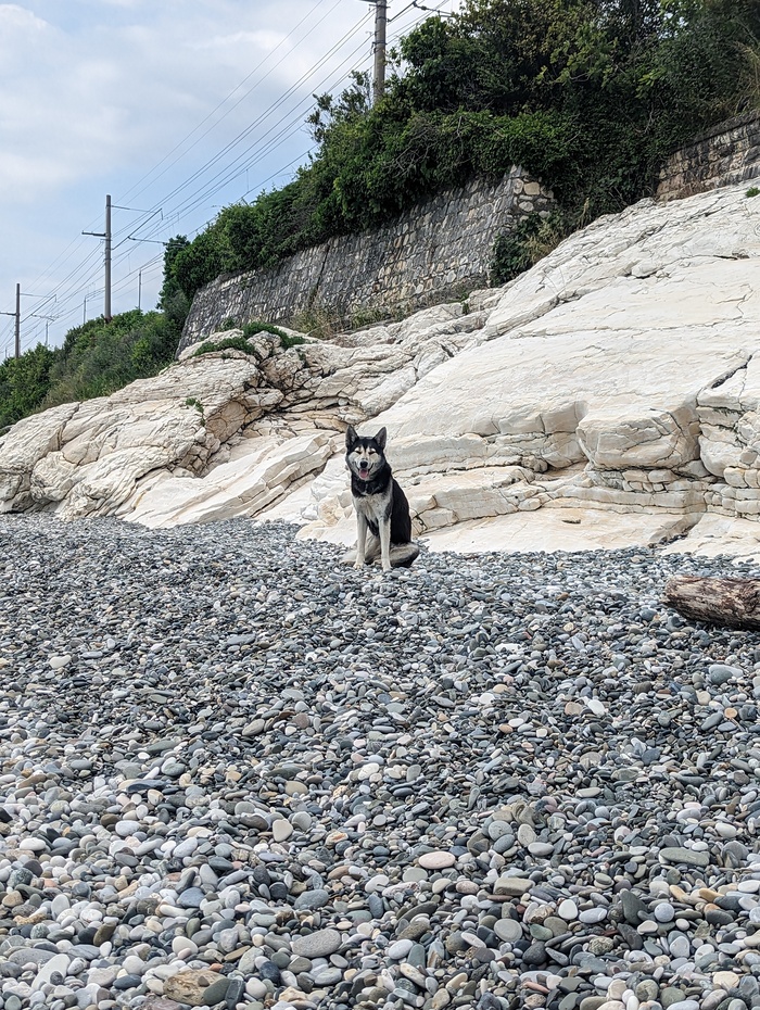 Посижу, посмотрю, чем закончится...