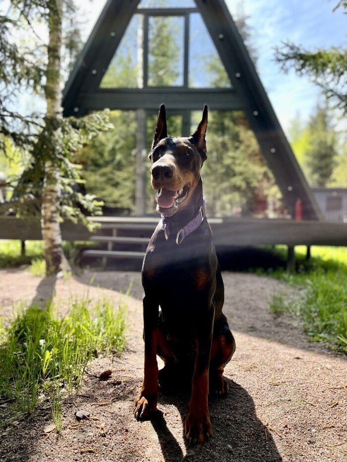 �������