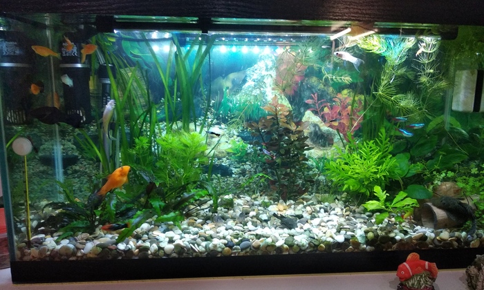 ���������� � �����