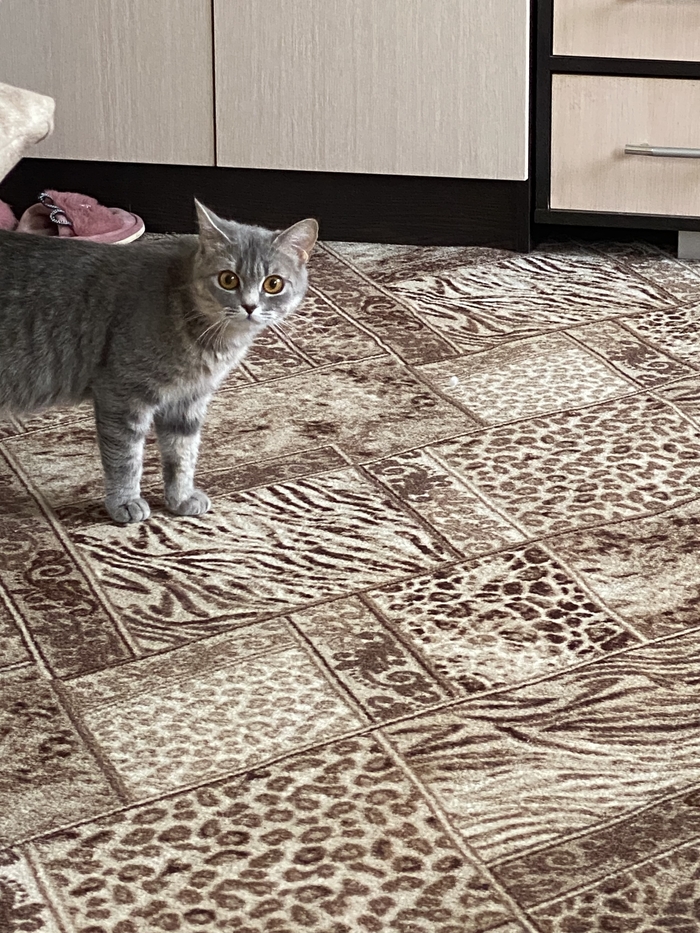 Первый бунт и первый пост