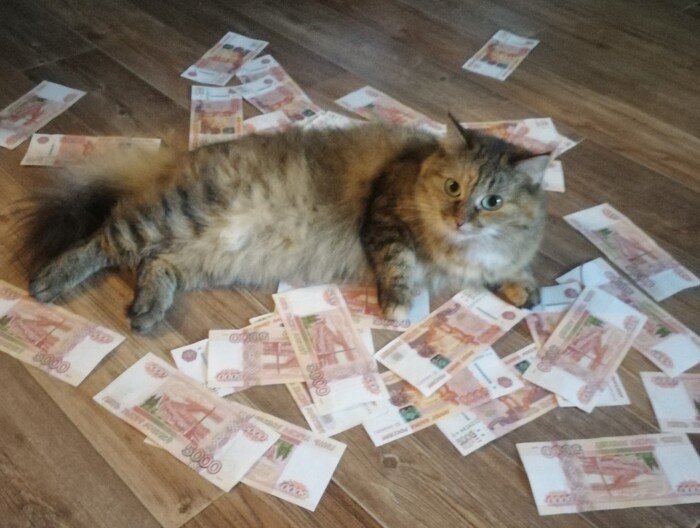 ��������� ������ ����� �����