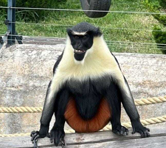 ����� �� ���� ���� ��� ������ ��������?�