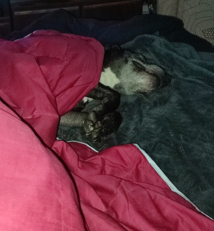 Так весь бунд проспать можно