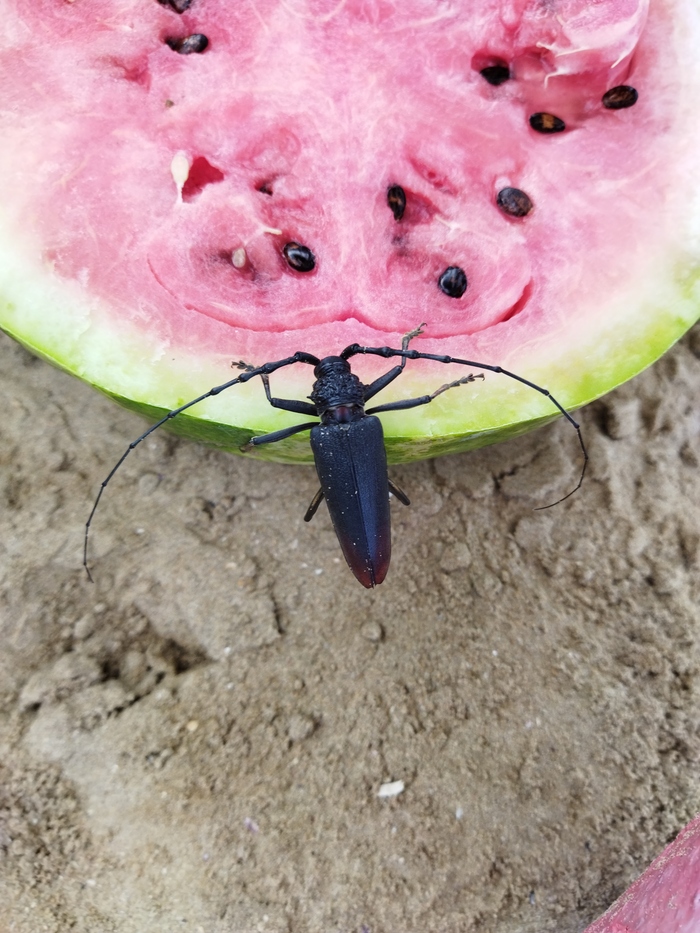 Бунтуют все