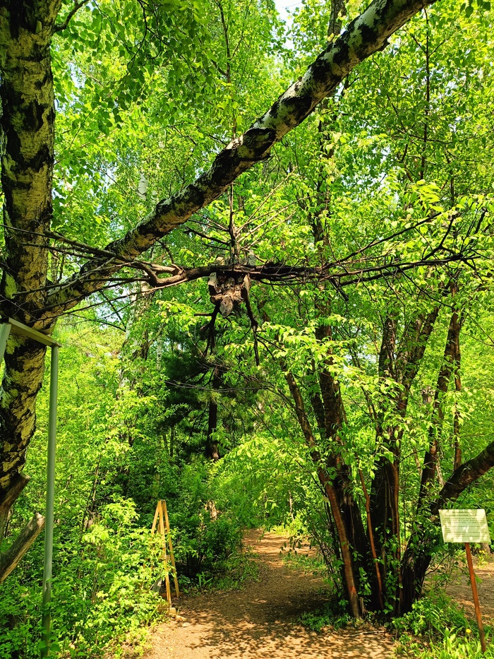 ��� �������!