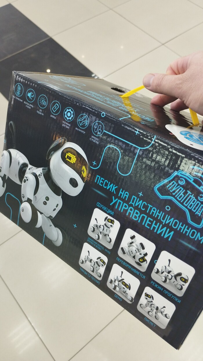 ����� ���� �����, ���� ��� ����