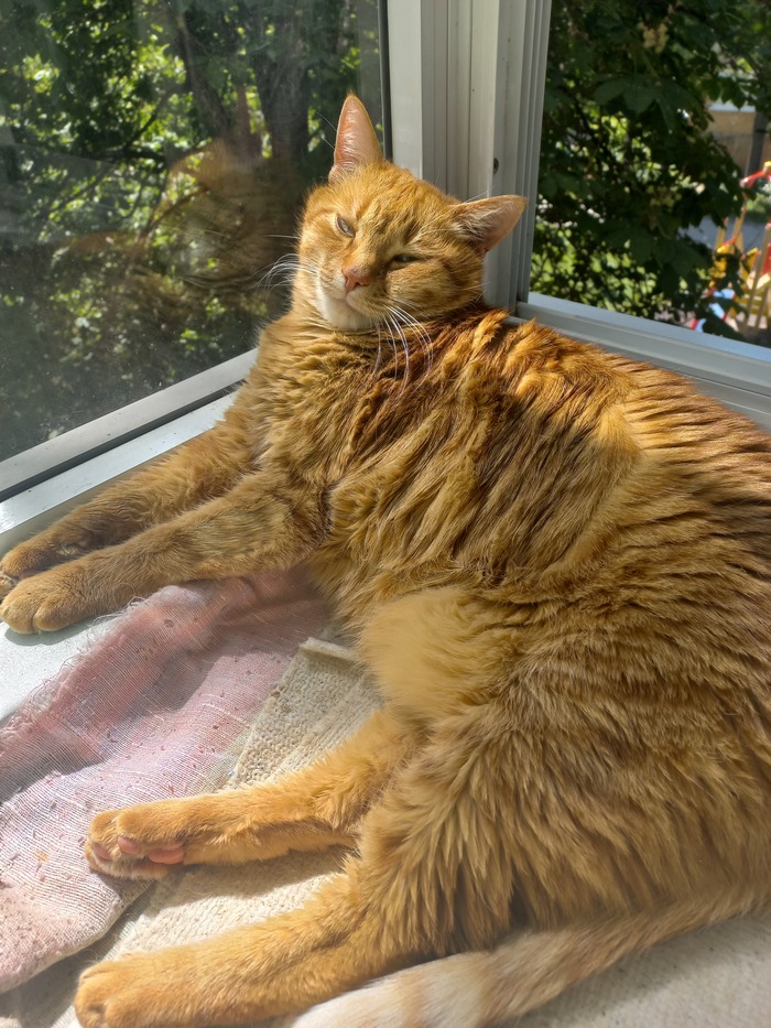 ��� ����� � �� �������, �� ���� �������))