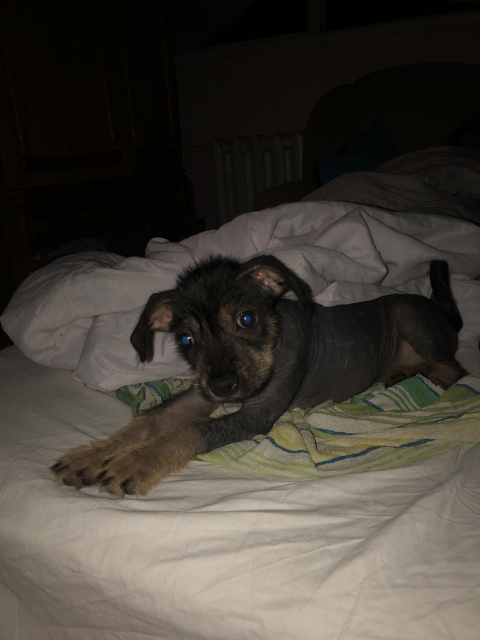 �������!� �������