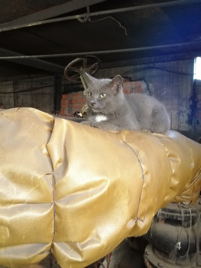 ����� �� ����� (��������)