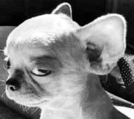    &quot;     &quot; &quot;&quot;