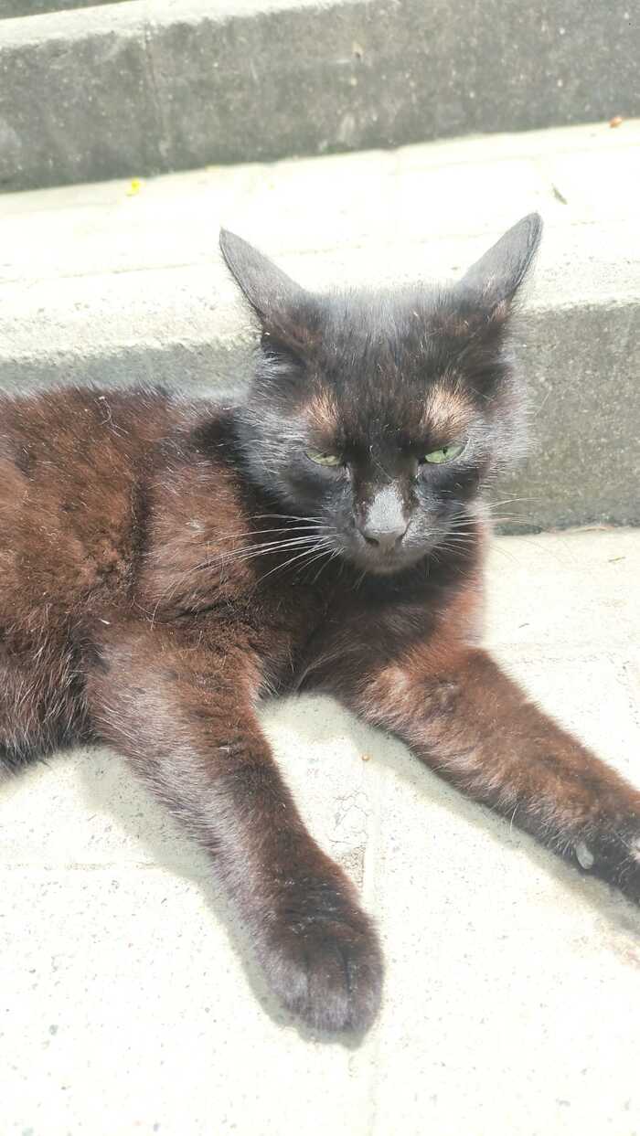 ��� ����, � �� �������!