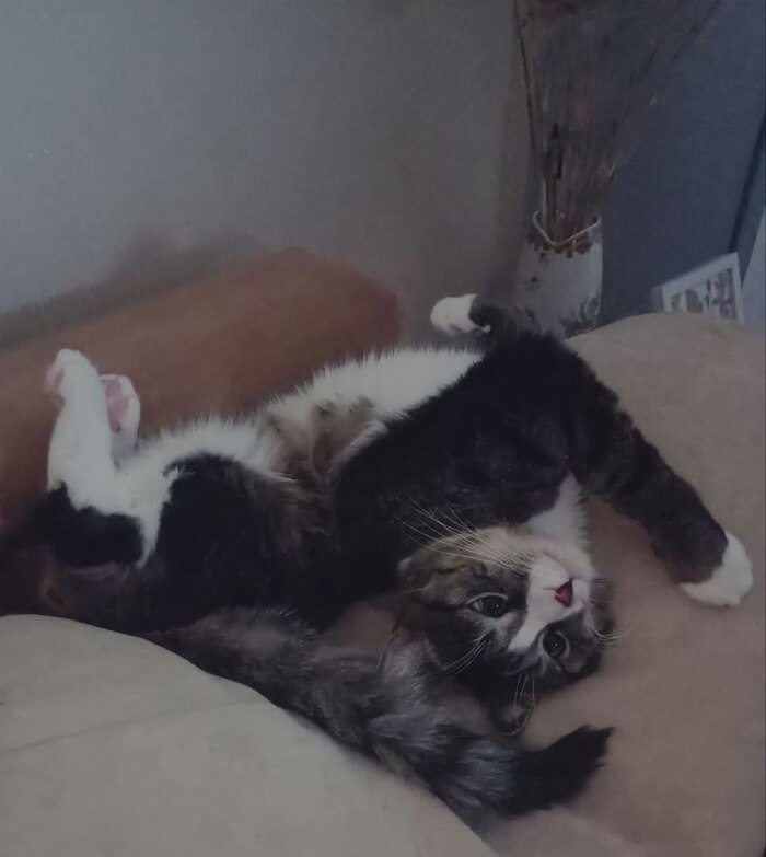 Бунд так бунд