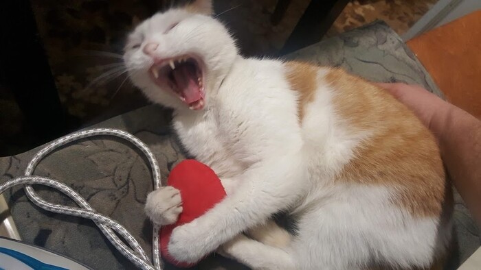 ������� � �����