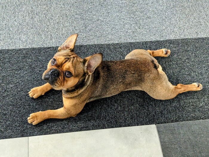 ������� ��� �������. ������� ������