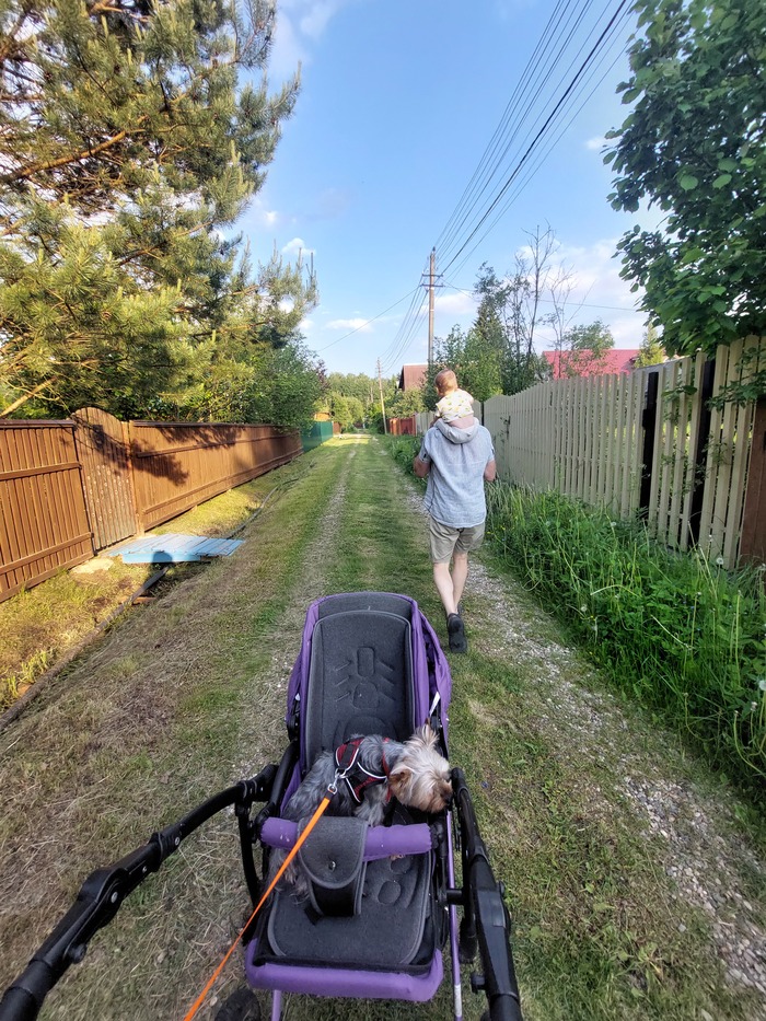 ������ ����