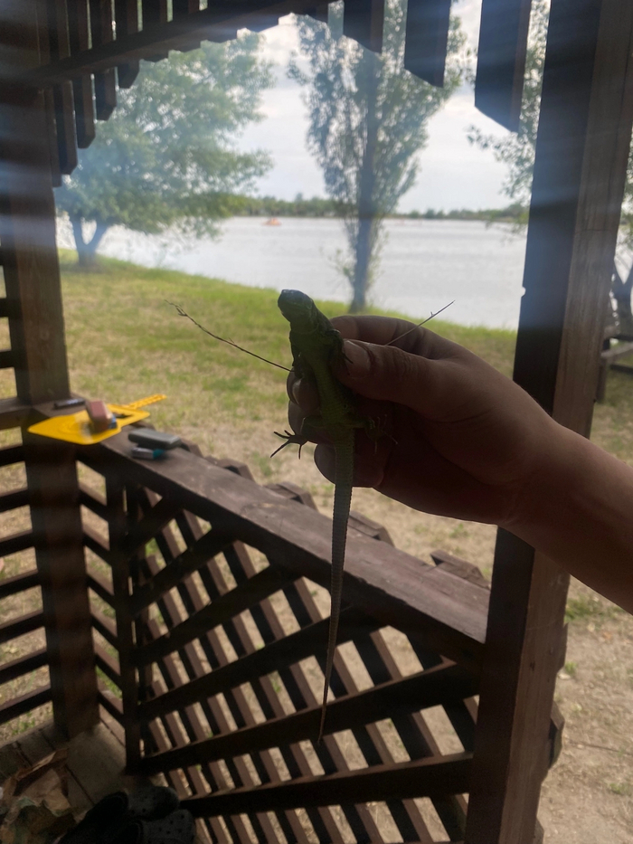 ��������� � �����