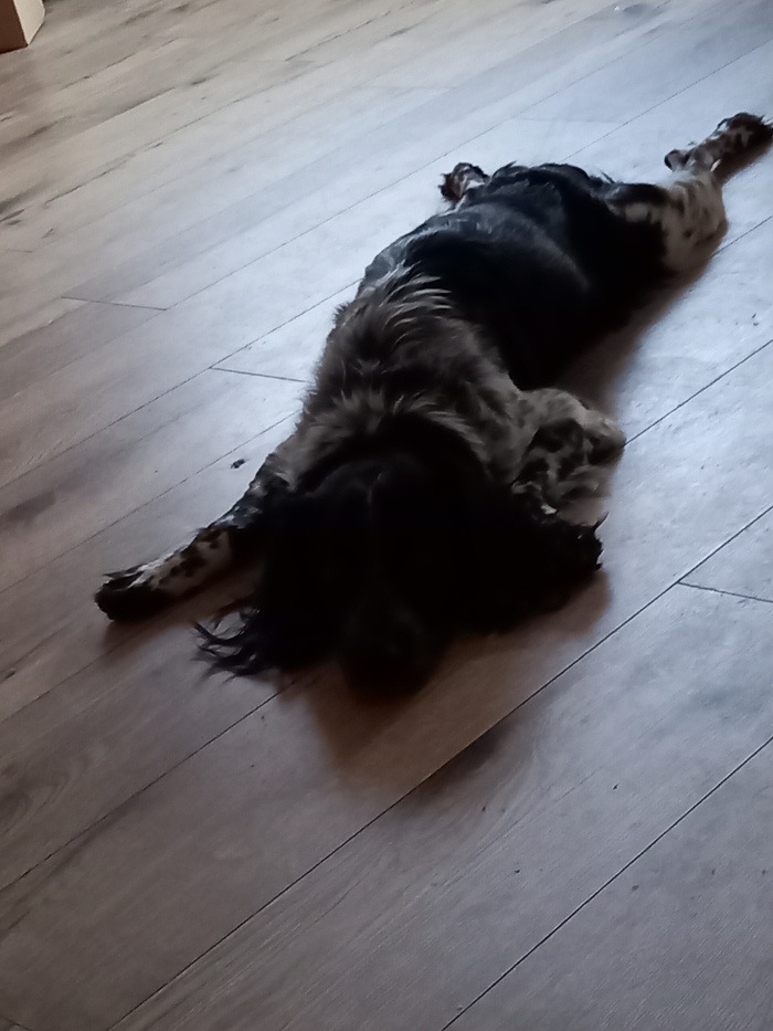 ������� ����