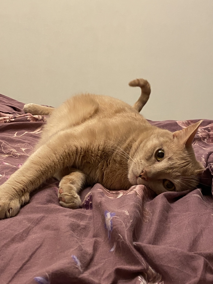 А можно и мне?