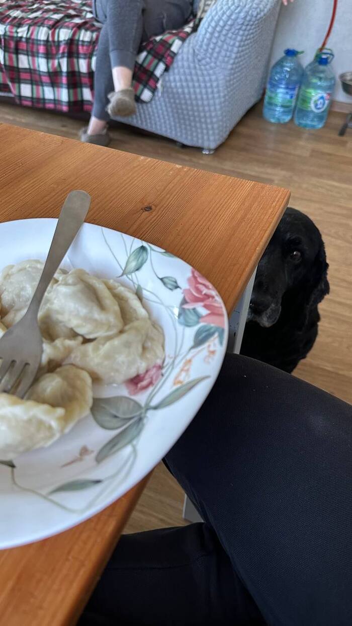   ,  , 