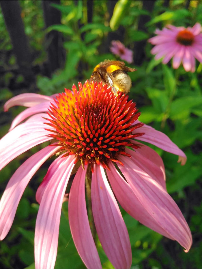 � �������� � ��� ��� ��