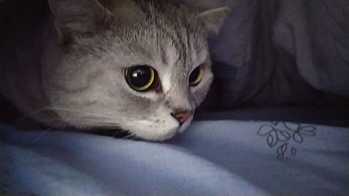 �� ����� �����