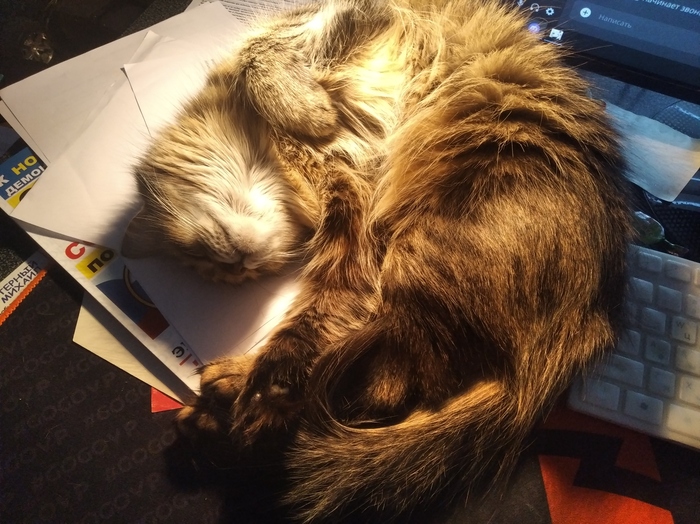 �� �����. ���������