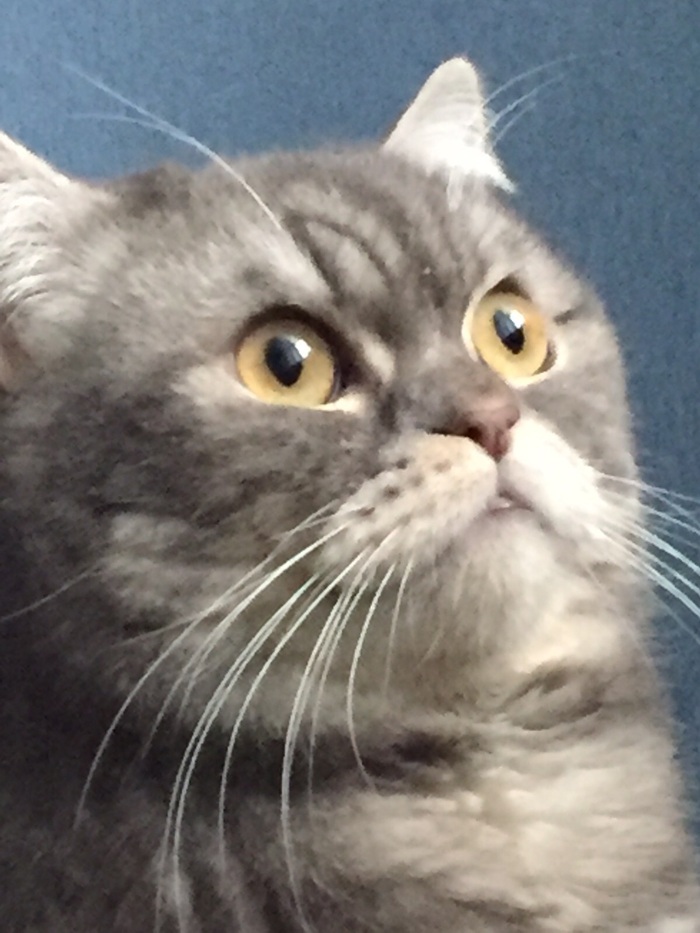 ������� ���, ����� ������!